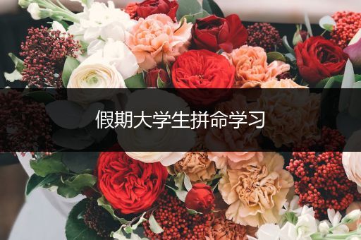 假期大学生拼命学习