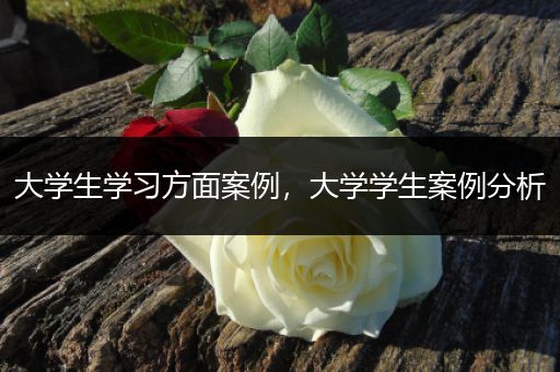 大学生学习方面案例，大学学生案例分析
