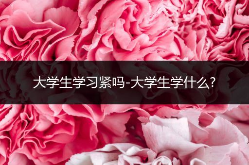 大学生学习紧吗-大学生学什么?