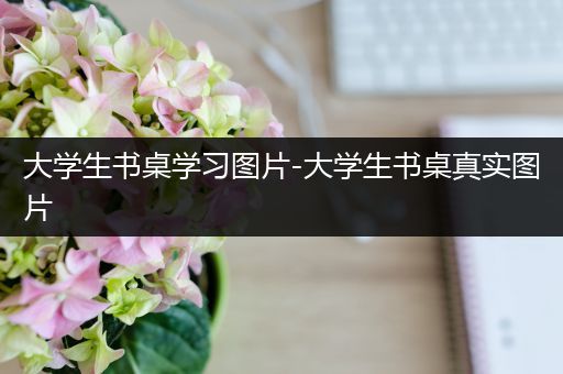 大学生书桌学习图片-大学生书桌真实图片