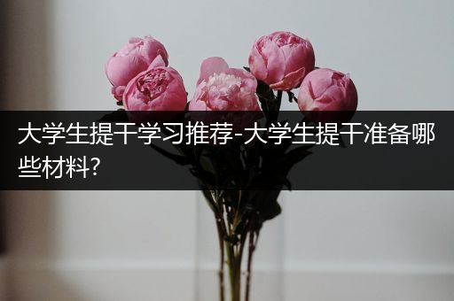 大学生提干学习推荐-大学生提干准备哪些材料?