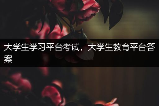 大学生学习平台考试，大学生教育平台答案