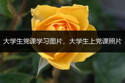 大学生党课学习图片，大学生上党课照片