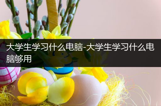 大学生学习什么电脑-大学生学习什么电脑够用
