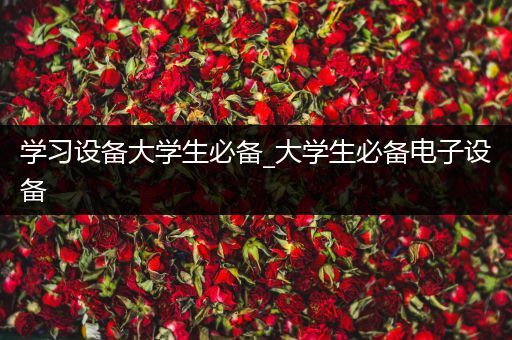 学习设备大学生必备_大学生必备电子设备