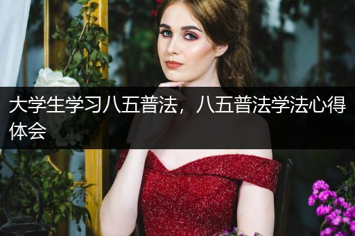 大学生学习八五普法，八五普法学法心得体会