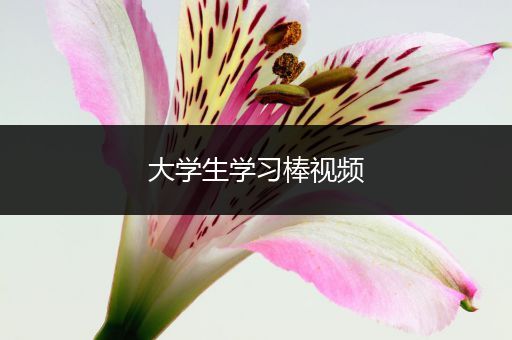 大学生学习棒视频