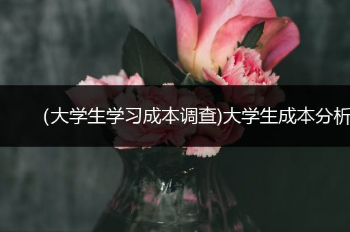 （大学生学习成本调查)大学生成本分析