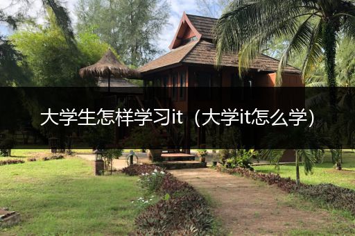 大学生怎样学习it（大学it怎么学）
