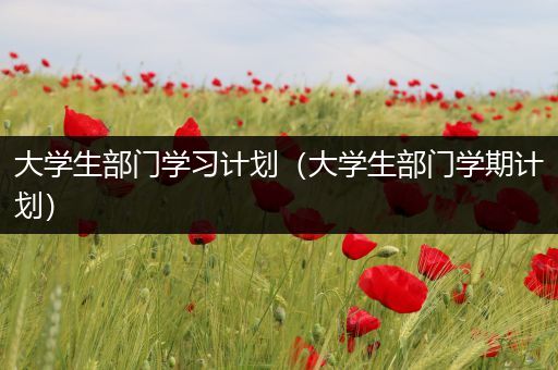 大学生部门学习计划（大学生部门学期计划）