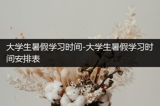 大学生暑假学习时间-大学生暑假学习时间安排表
