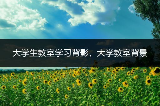 大学生教室学习背影，大学教室背景
