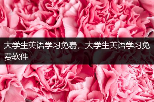 大学生英语学习免费，大学生英语学习免费软件