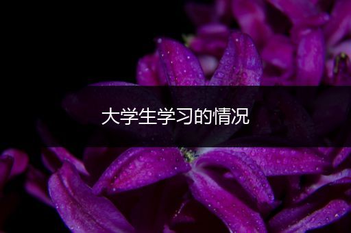 大学生学习的情况