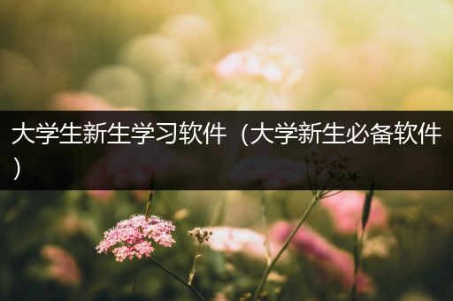 大学生新生学习软件（大学新生必备软件）