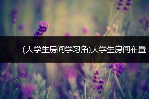 （大学生房间学习角)大学生房间布置