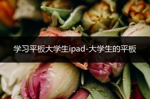 学习平板大学生ipad-大学生的平板