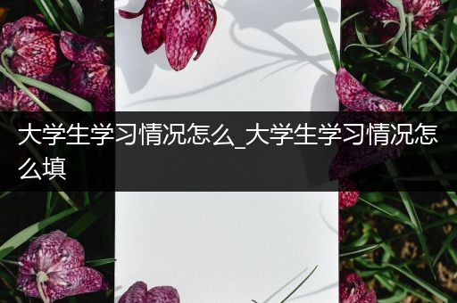 大学生学习情况怎么_大学生学习情况怎么填