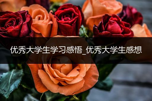优秀大学生学习感悟_优秀大学生感想
