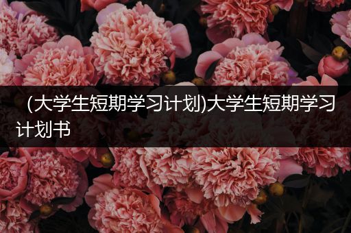 （大学生短期学习计划)大学生短期学习计划书