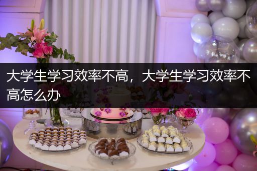 大学生学习效率不高，大学生学习效率不高怎么办