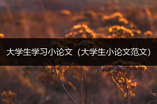 大学生学习小论文（大学生小论文范文）