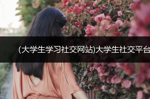 （大学生学习社交网站)大学生社交平台