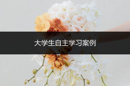 大学生自主学习案例