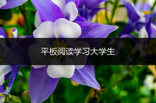 平板阅读学习大学生