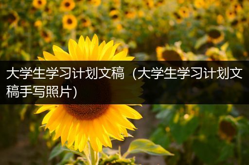 大学生学习计划文稿（大学生学习计划文稿手写照片）