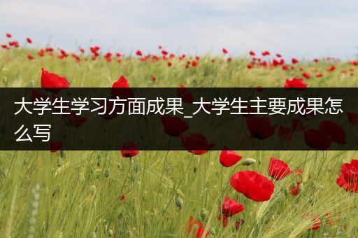 大学生学习方面成果_大学生主要成果怎么写