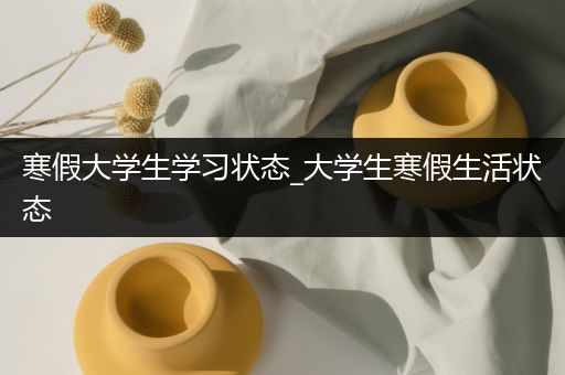 寒假大学生学习状态_大学生寒假生活状态