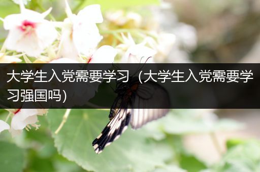 大学生入党需要学习（大学生入党需要学习强国吗）