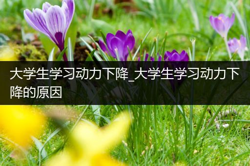 大学生学习动力下降_大学生学习动力下降的原因