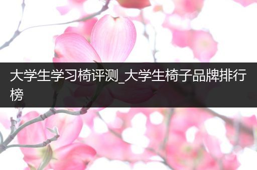 大学生学习椅评测_大学生椅子品牌排行榜