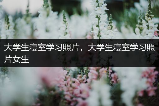 大学生寝室学习照片，大学生寝室学习照片女生