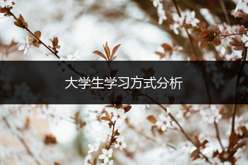 大学生学习方式分析