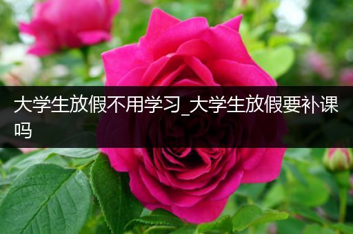 大学生放假不用学习_大学生放假要补课吗