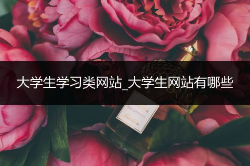 大学生学习类网站_大学生网站有哪些