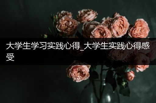 大学生学习实践心得_大学生实践心得感受