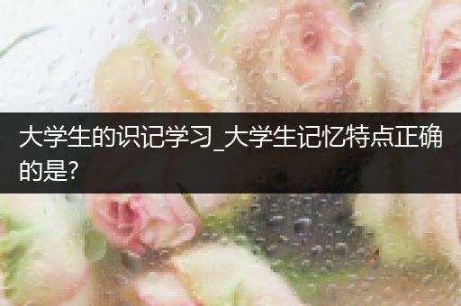 大学生的识记学习_大学生记忆特点正确的是?
