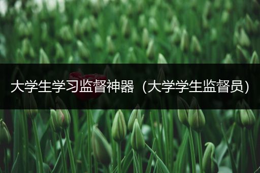 大学生学习监督神器（大学学生监督员）