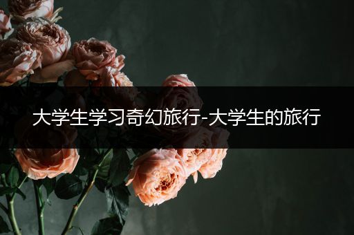 大学生学习奇幻旅行-大学生的旅行