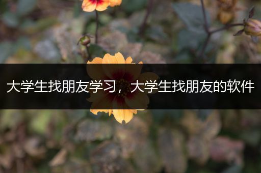 大学生找朋友学习，大学生找朋友的软件