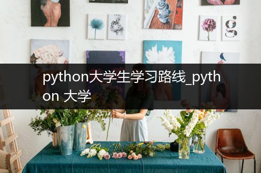 python大学生学习路线_python 大学