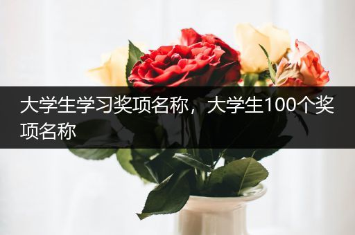 大学生学习奖项名称，大学生100个奖项名称