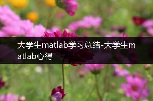 大学生matlab学习总结-大学生matlab心得