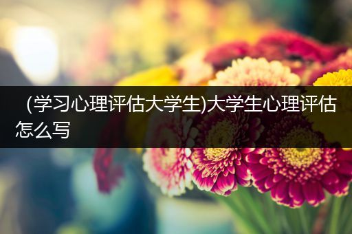 （学习心理评估大学生)大学生心理评估怎么写