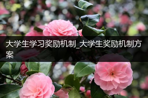 大学生学习奖励机制_大学生奖励机制方案
