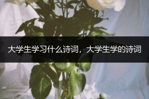 大学生学习什么诗词，大学生学的诗词